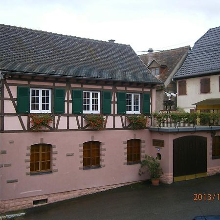 Gite Au Nid De Cigognes Villa Dieffenthal Dış mekan fotoğraf