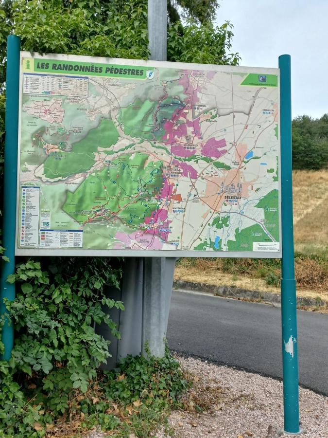 Gite Au Nid De Cigognes Villa Dieffenthal Dış mekan fotoğraf