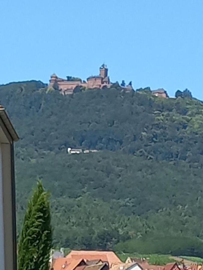 Gite Au Nid De Cigognes Villa Dieffenthal Dış mekan fotoğraf
