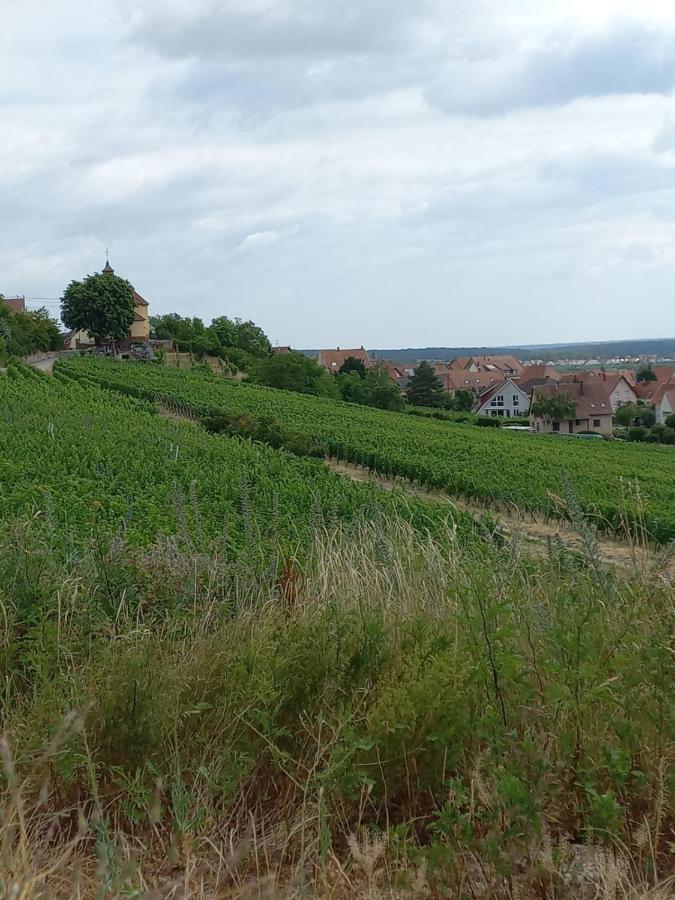 Gite Au Nid De Cigognes Villa Dieffenthal Dış mekan fotoğraf