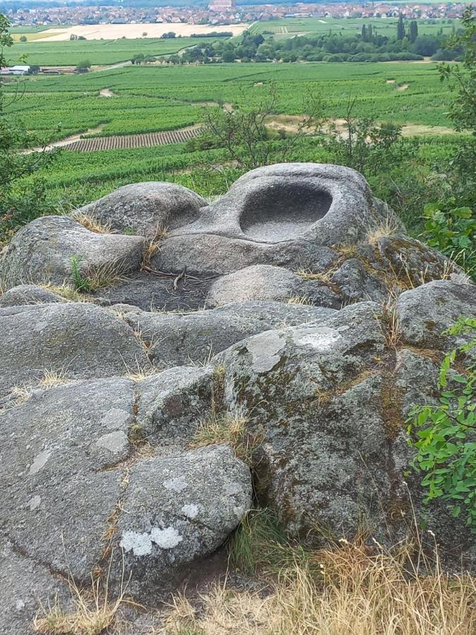 Gite Au Nid De Cigognes Villa Dieffenthal Dış mekan fotoğraf
