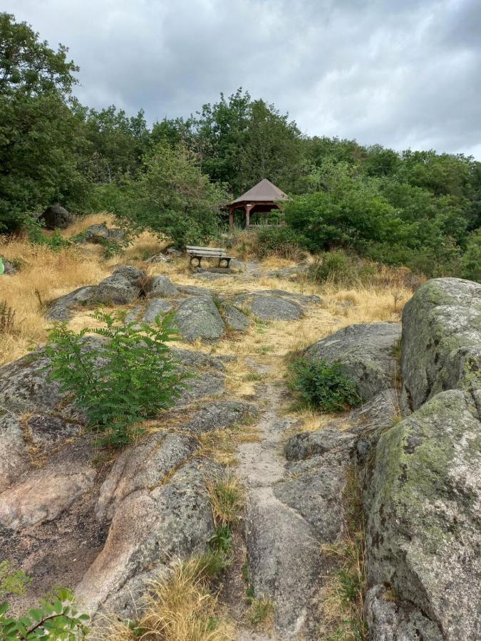 Gite Au Nid De Cigognes Villa Dieffenthal Dış mekan fotoğraf