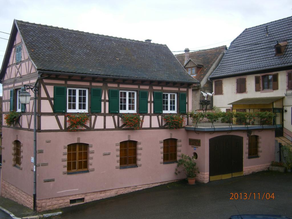 Gite Au Nid De Cigognes Villa Dieffenthal Dış mekan fotoğraf